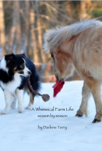 A Whimsical Farm Life season by season by Darlene Terry book cover