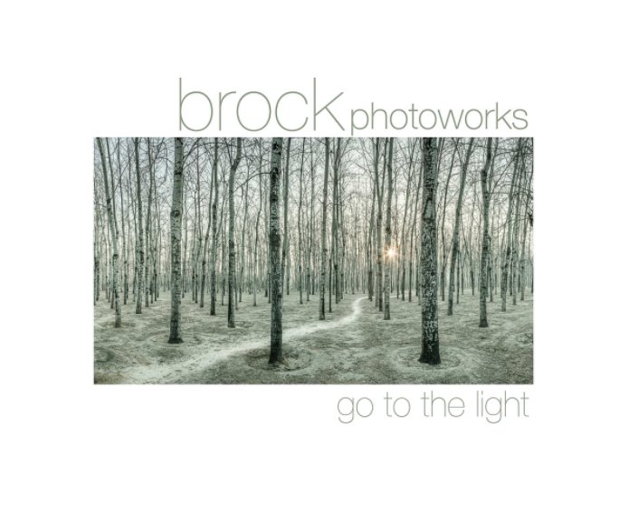 Ver BrockPhotoworks (Soft Cover) por Paul Brock