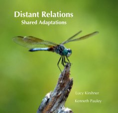 Distant Relations Shared Adaptations book cover