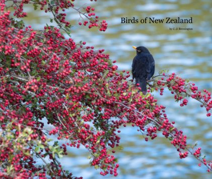 Birds of New Zealand book cover