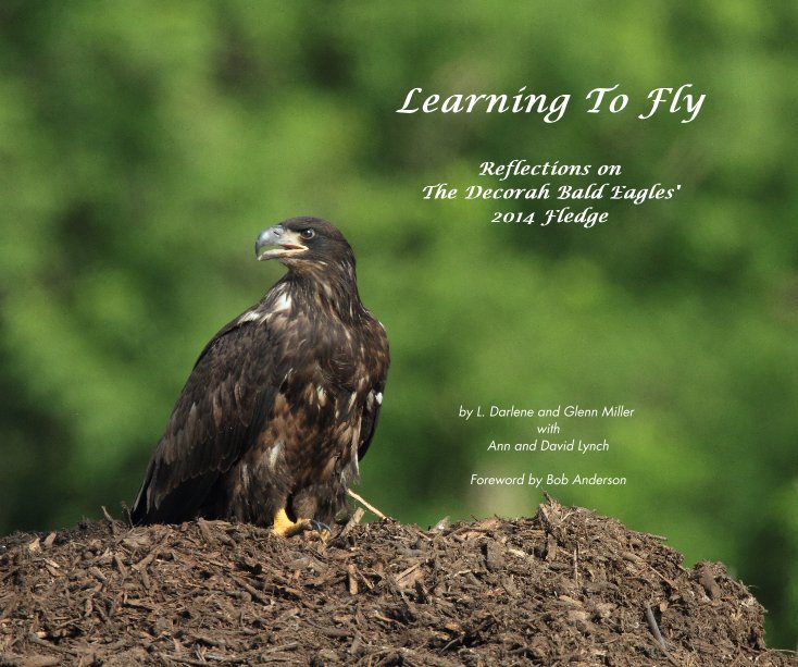 Ver Learning To Fly por Millers and Lynchs