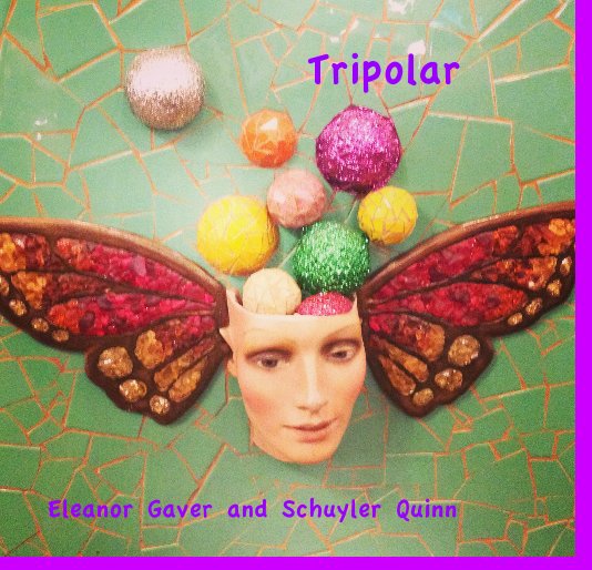 View Tripolar by Eleanor Gaver and Schuyler Quinn