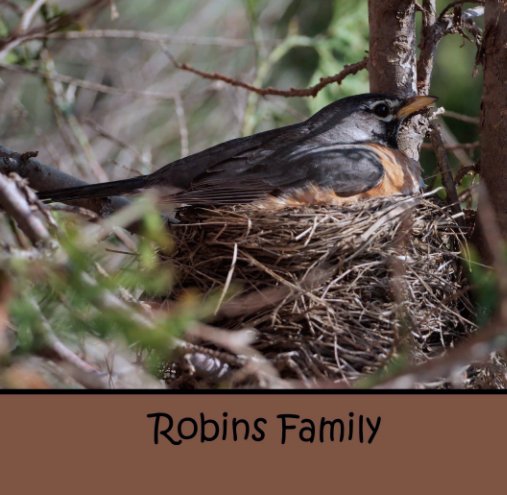 View Robins Family by Angela Wilkins
