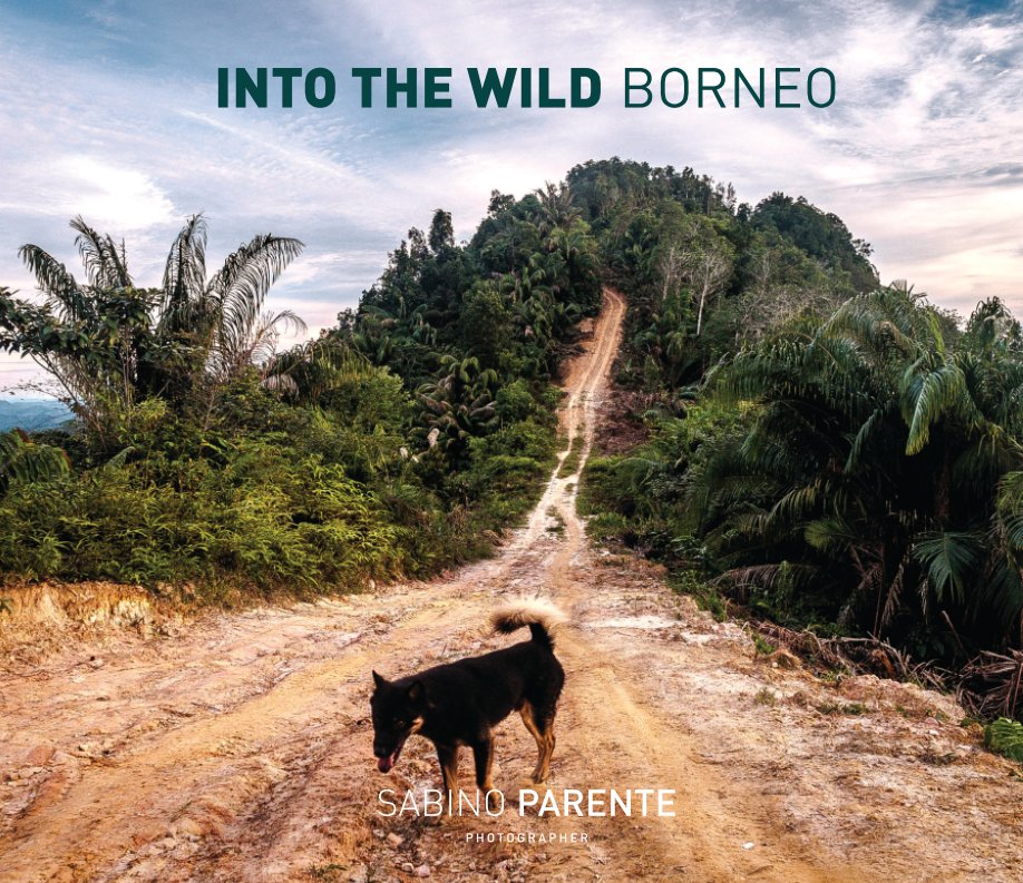 Bekijk INTO THE WILD BORNEO op Sabino Parente
