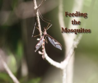 Feeding the Mosquitos book cover
