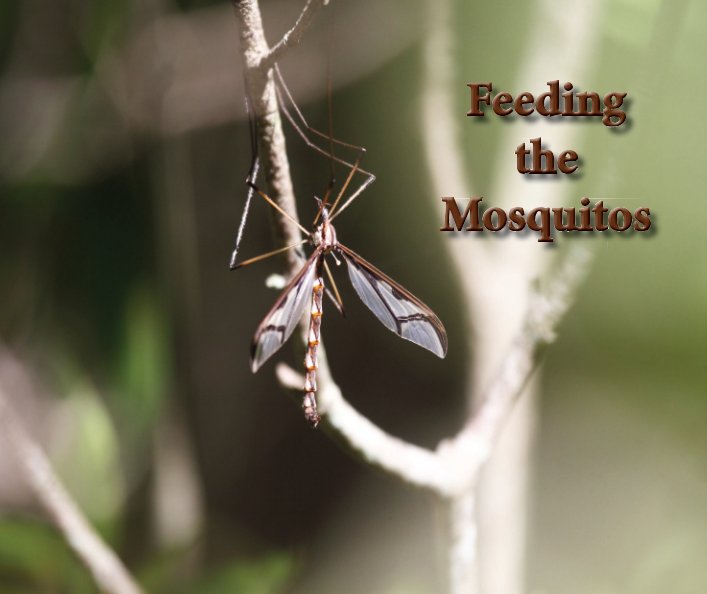 View Feeding the Mosquitos by Dana Jones