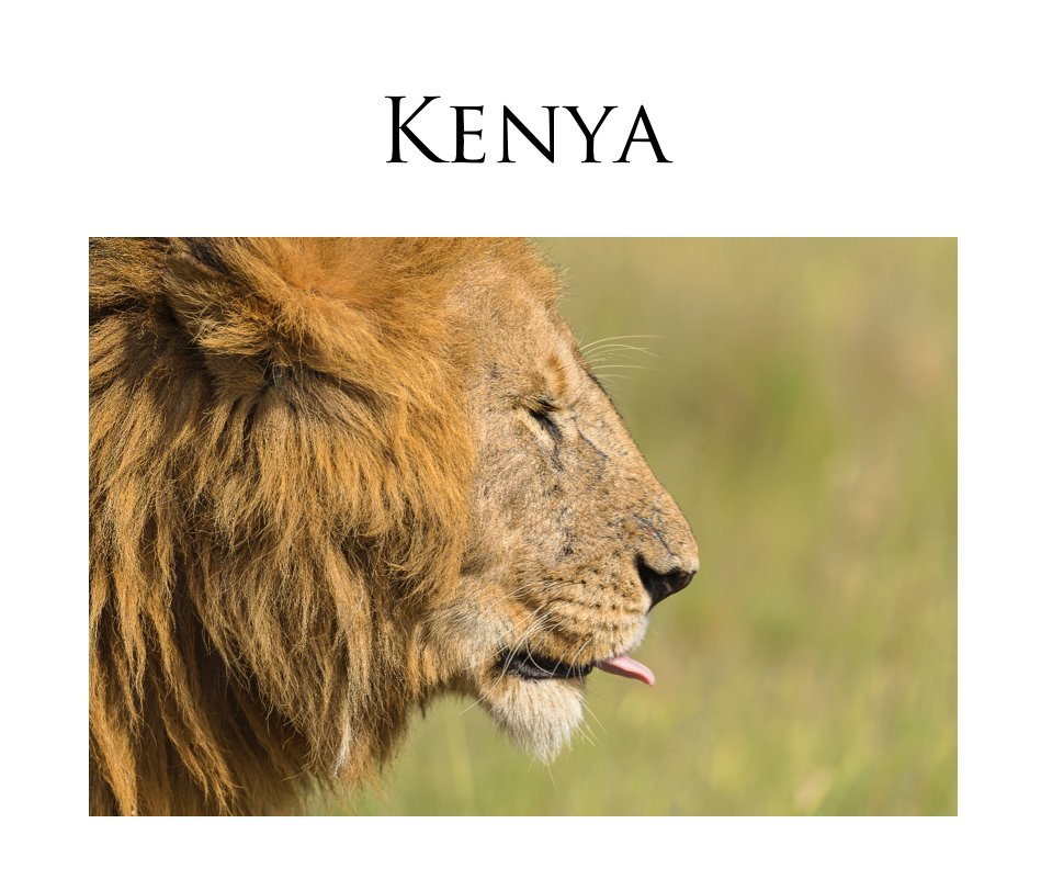 View Kenya by Sue Wolfe