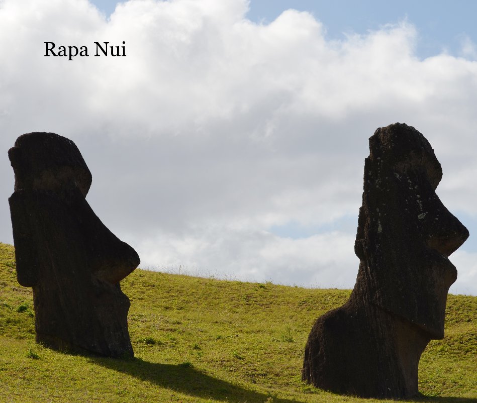 View Rapa Nui by J Michael Dargin