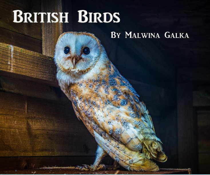 View British Birds by Malwina Galka