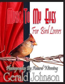 Music To My Eyes book cover