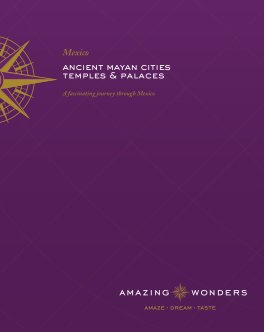 Amazing Wonders Mexico book cover