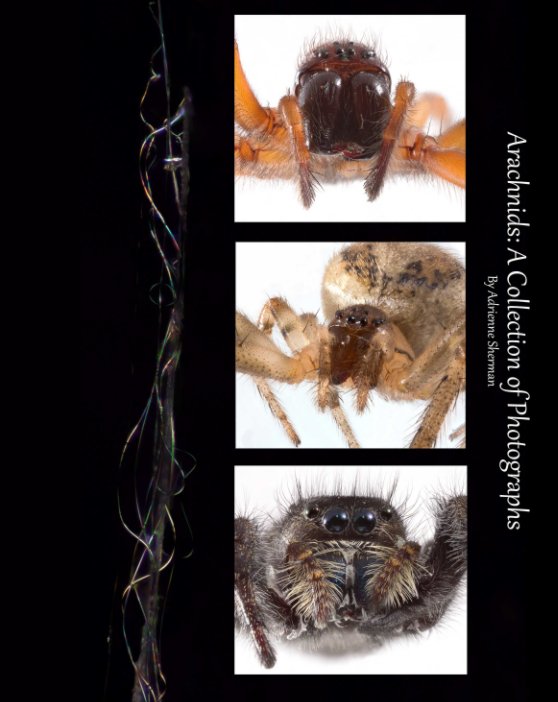 Ver Arachnids por Adrienne Sherman