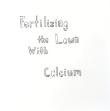 Fertilizing the Lawn With Calcium book cover