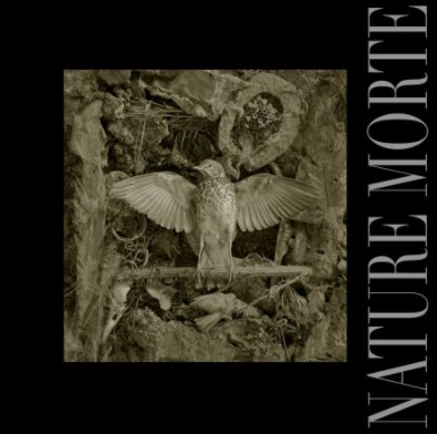 Nature Morte book cover