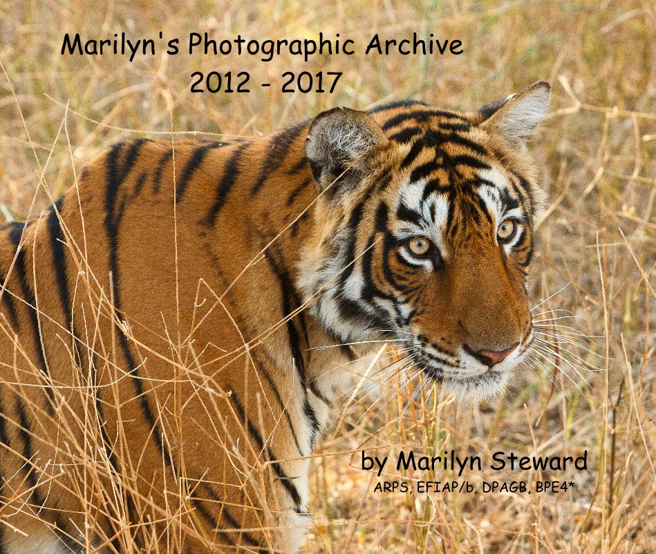 Marilyn's Photographic Archive 2012 - 2017 nach Marilyn Steward ARPS, EFIAP/b, DPAGB, BPE4* anzeigen