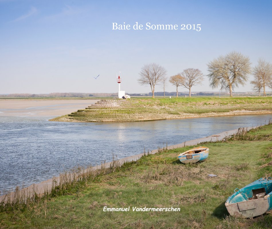 View Baie de Somme 2015 by Emmanuel Vandermeerschen