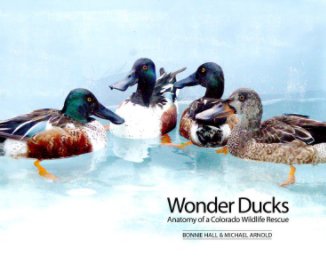 Wonder Ducks book cover