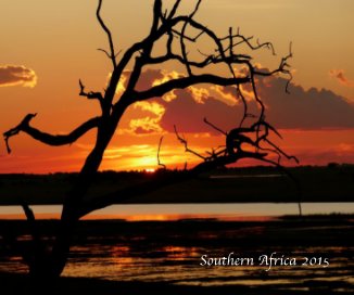 Southern Africa 2015 book cover