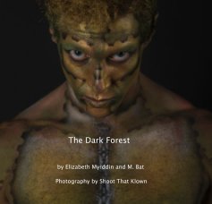 The Dark Forest book cover