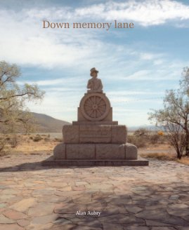 Down memory lane book cover