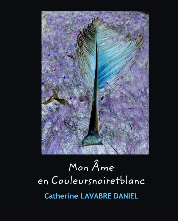 View Mon Âme en Couleursnoiretblanc by Catherine LAVABRE DANIEL