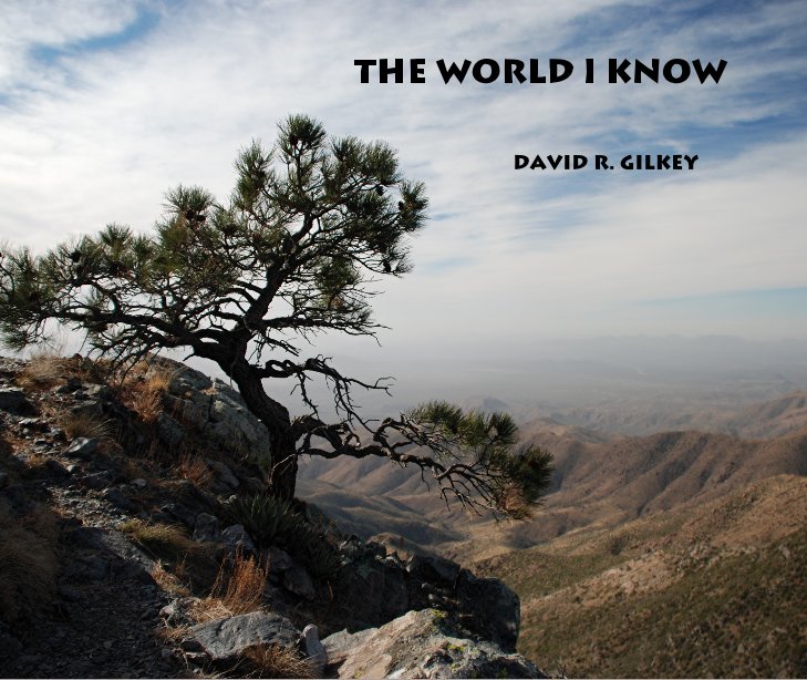 View THE WORLD I KNOW by David R. Gilkey