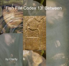 Fish File Codex 13: Between book cover