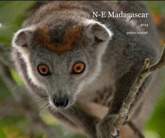 N-E Madagascar book cover