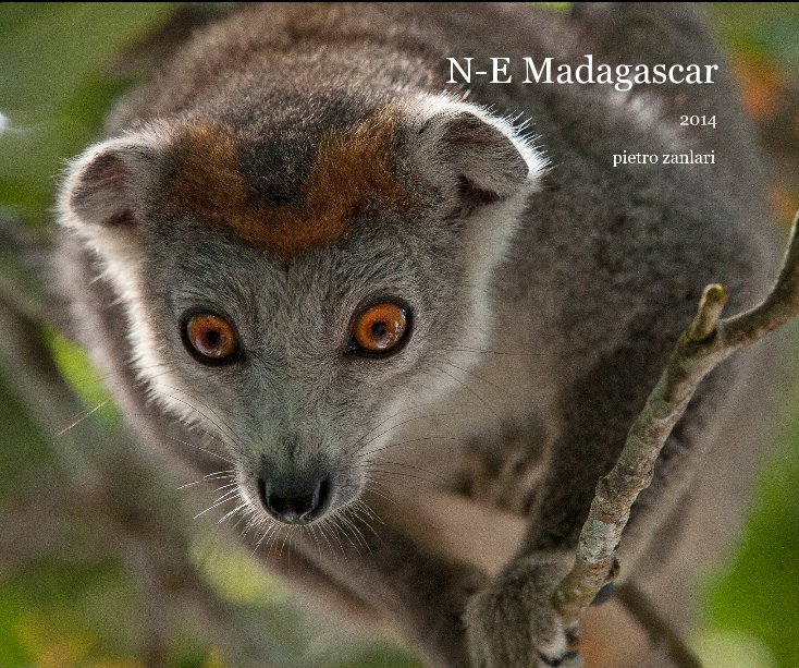 Visualizza N-E Madagascar di pietro zanlari