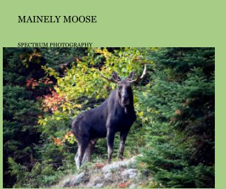 Mainely Moose book cover