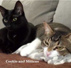 Cookie and Mittens book cover