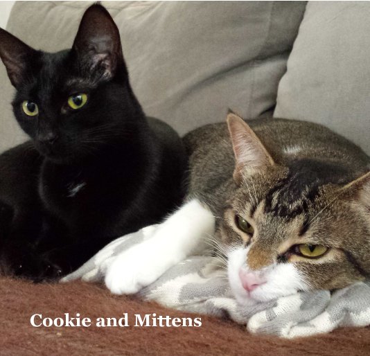 Ver Cookie and Mittens por Ujnoos