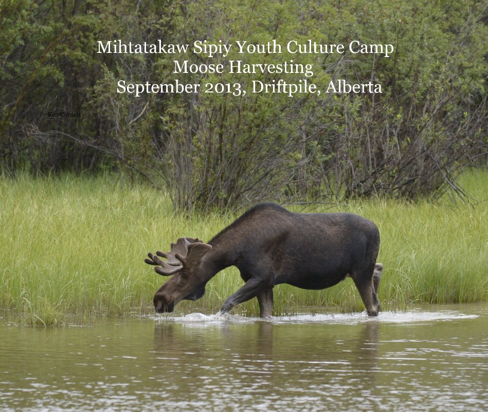 View Mihtatakaw Sipiy Youth Culture Camp Moose Harvesting September 2013, Driftpile, Alberta by Ken Cornett