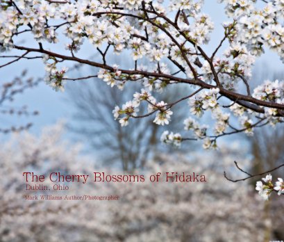 The Cherry Blossoms of Hidaka book cover
