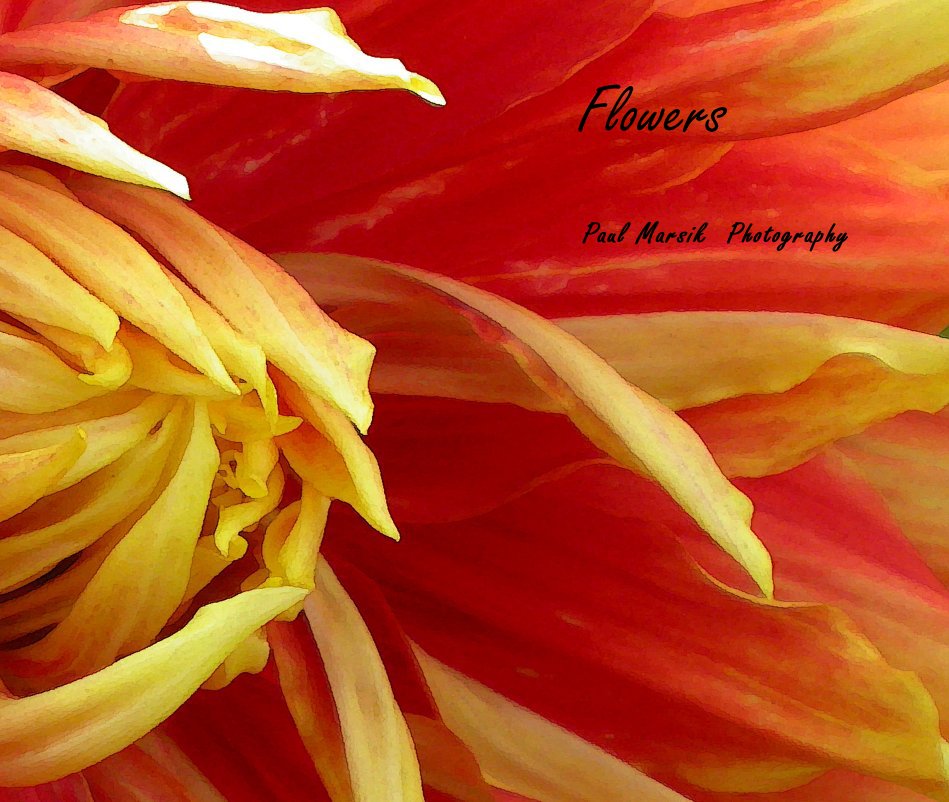 Flowers nach Paul Marsik Photography anzeigen