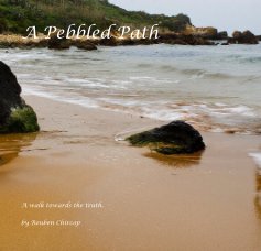 A Pebbled Path. book cover