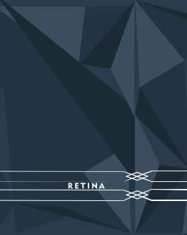 Retina-4 book cover