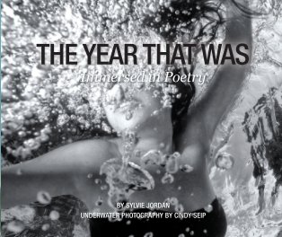 THE YEAR THAT WAS - Immersed In Poetry book cover