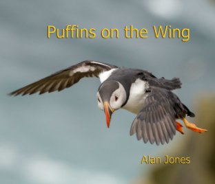 Puffins on the Wing book cover