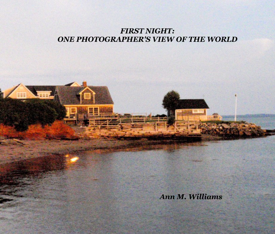 Ver First Night: One Photographer's View of the World por Ann M. Williams