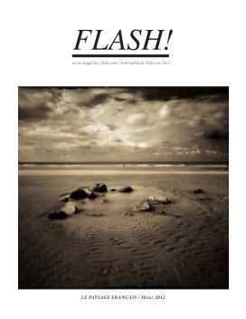 Flash N°1 book cover