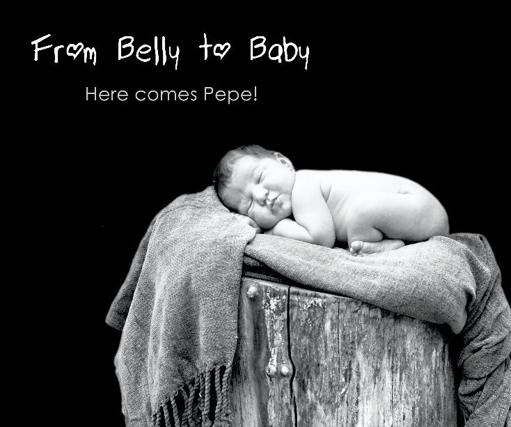View From Belly to Baby by Sandra Schuh