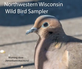 Northwester Wisconsin Wild Bird Sampler book cover