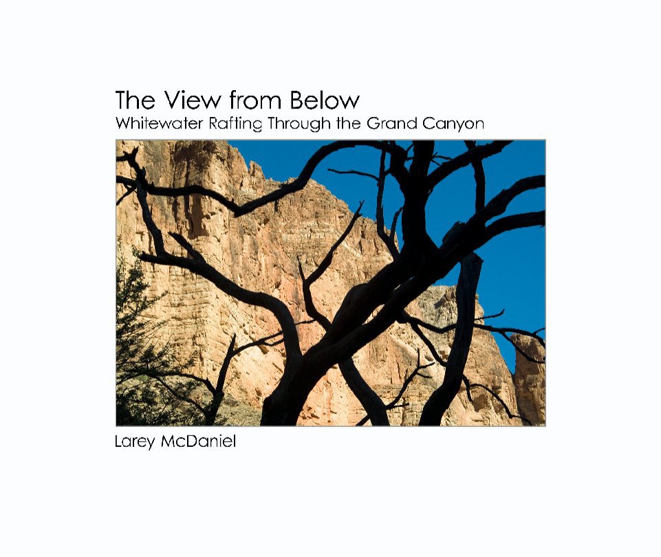 View The View from Below by Larey McDaniel