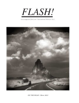 Flash N°5 book cover