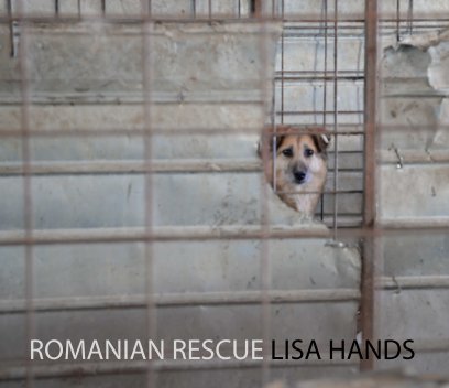 Romanian Rescue book cover