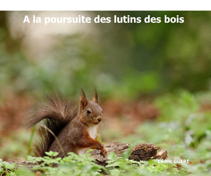 View A la poursuite des lutins des bois by Cédric GUERE