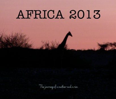 Africa 2013 book cover