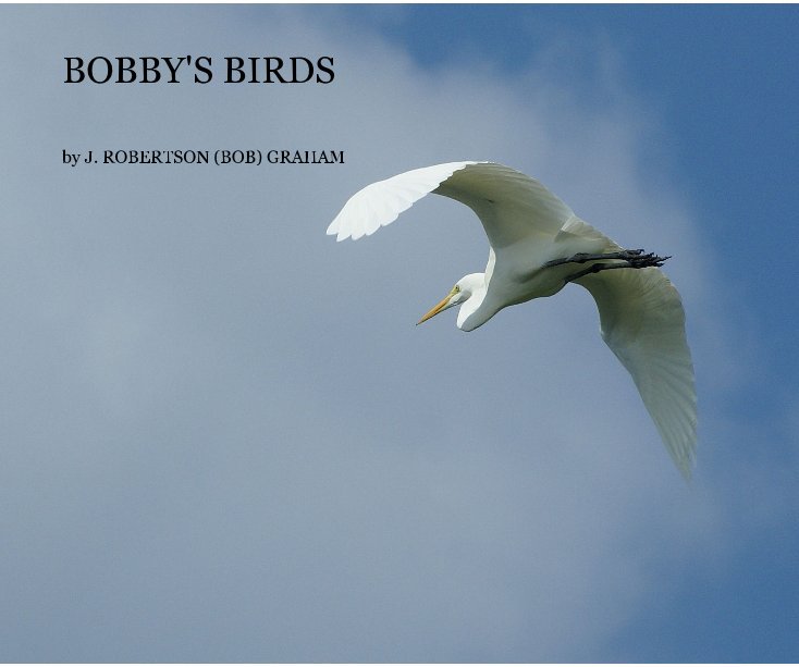 View BOBBY'S BIRDS by J. ROBERTSON (BOB) GRAHAM