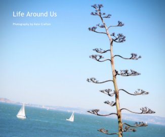 Life Around Us book cover